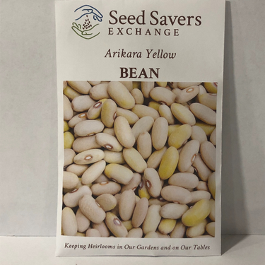 Arikara Yellow Bush Bean, pre-1800’s Heirloom